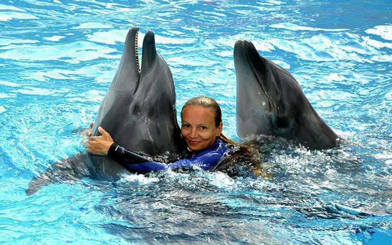 Плавание с Дельфинами в Мармарисе