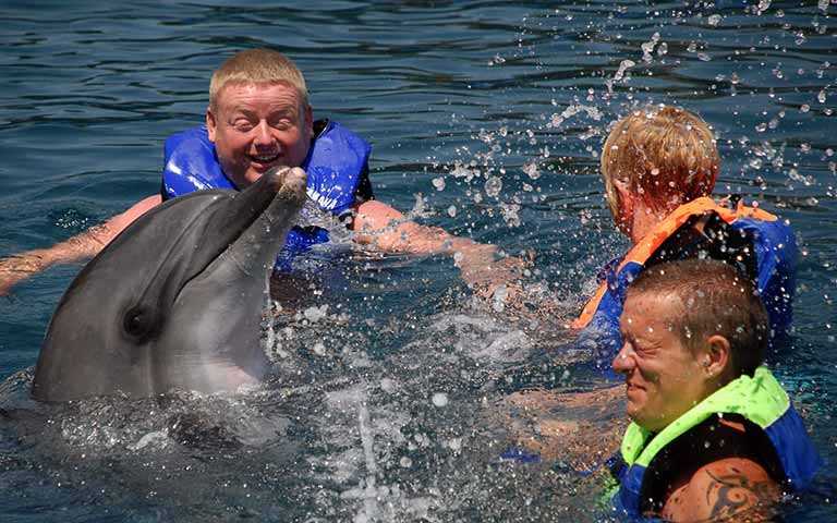 Плавание с Дельфинами в Мармарисе