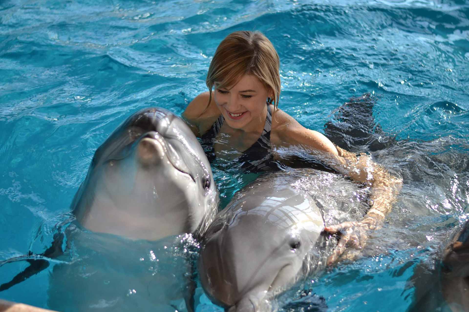 Удовольствие с дельфином. Купание с дельфинами. Плавать смдельфинами. Купание с дельфинами в Москве. В дельфинарии плавает Дельфин.
